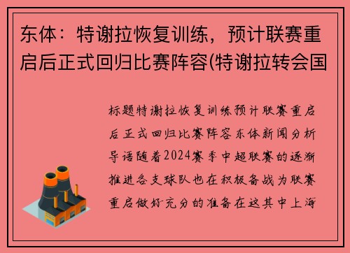 东体：特谢拉恢复训练，预计联赛重启后正式回归比赛阵容(特谢拉转会国米)
