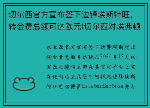 切尔西官方宣布签下边锋埃斯特旺，转会费总额可达欧元(切尔西对埃弗顿比赛结果)