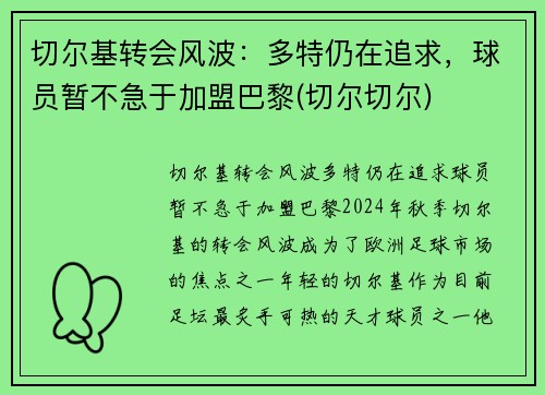 切尔基转会风波：多特仍在追求，球员暂不急于加盟巴黎(切尔切尔)