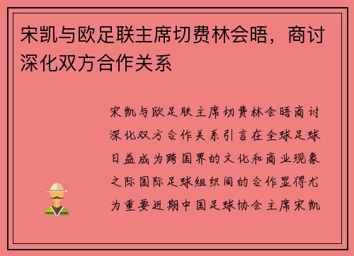 宋凯与欧足联主席切费林会晤，商讨深化双方合作关系