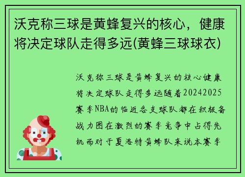 沃克称三球是黄蜂复兴的核心，健康将决定球队走得多远(黄蜂三球球衣)